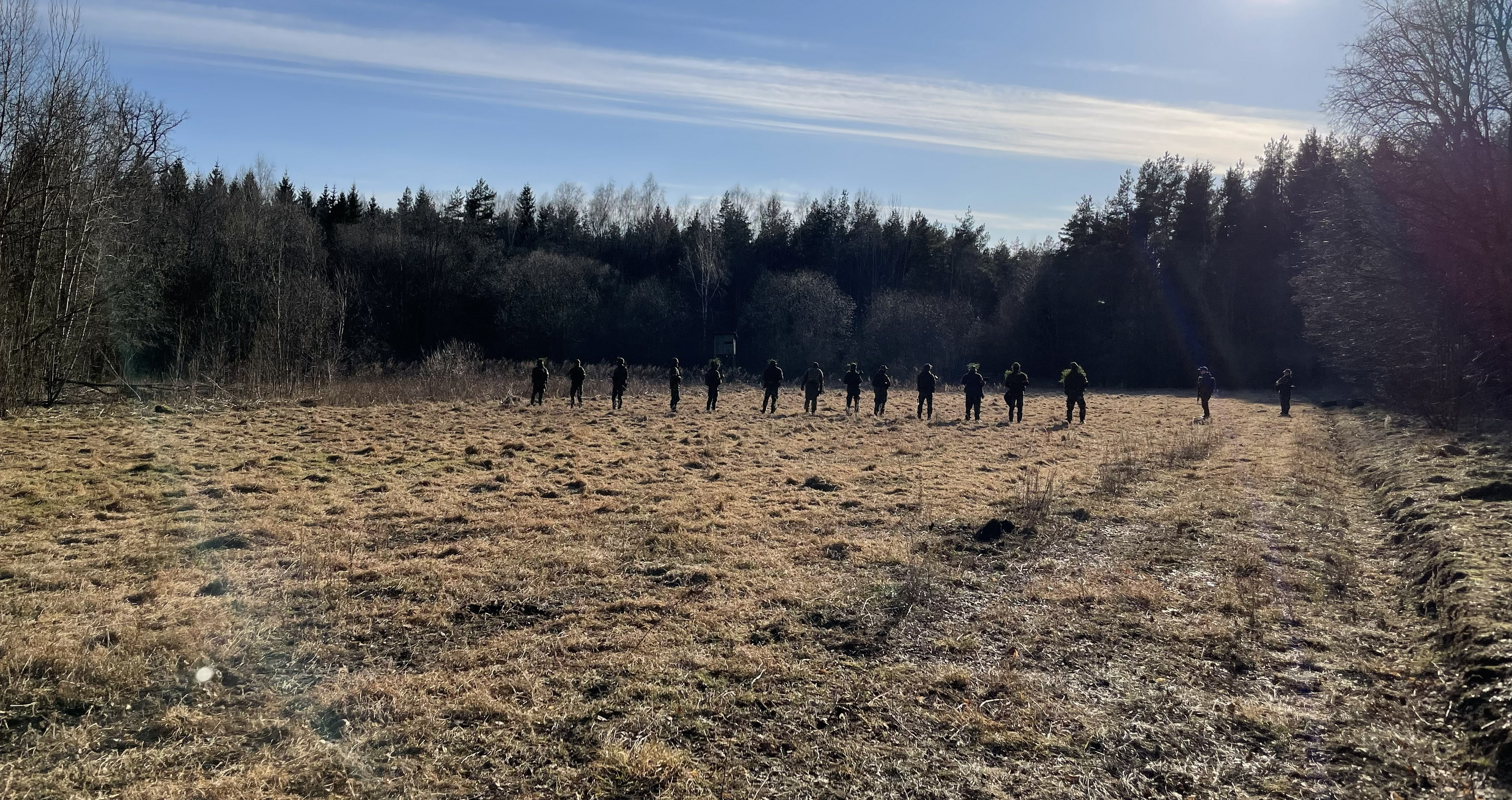 LIETUVOS ŠAULIŲ SĄJUNGA